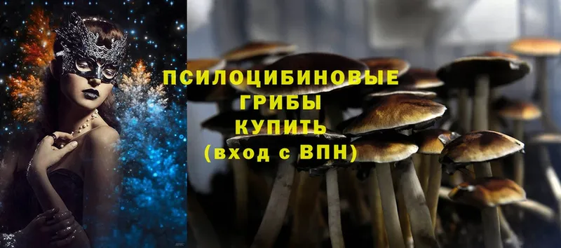 мега как войти  Хилок  Галлюциногенные грибы Psilocybine cubensis 